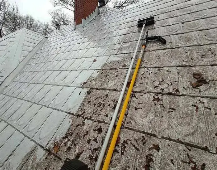 roof cleaning